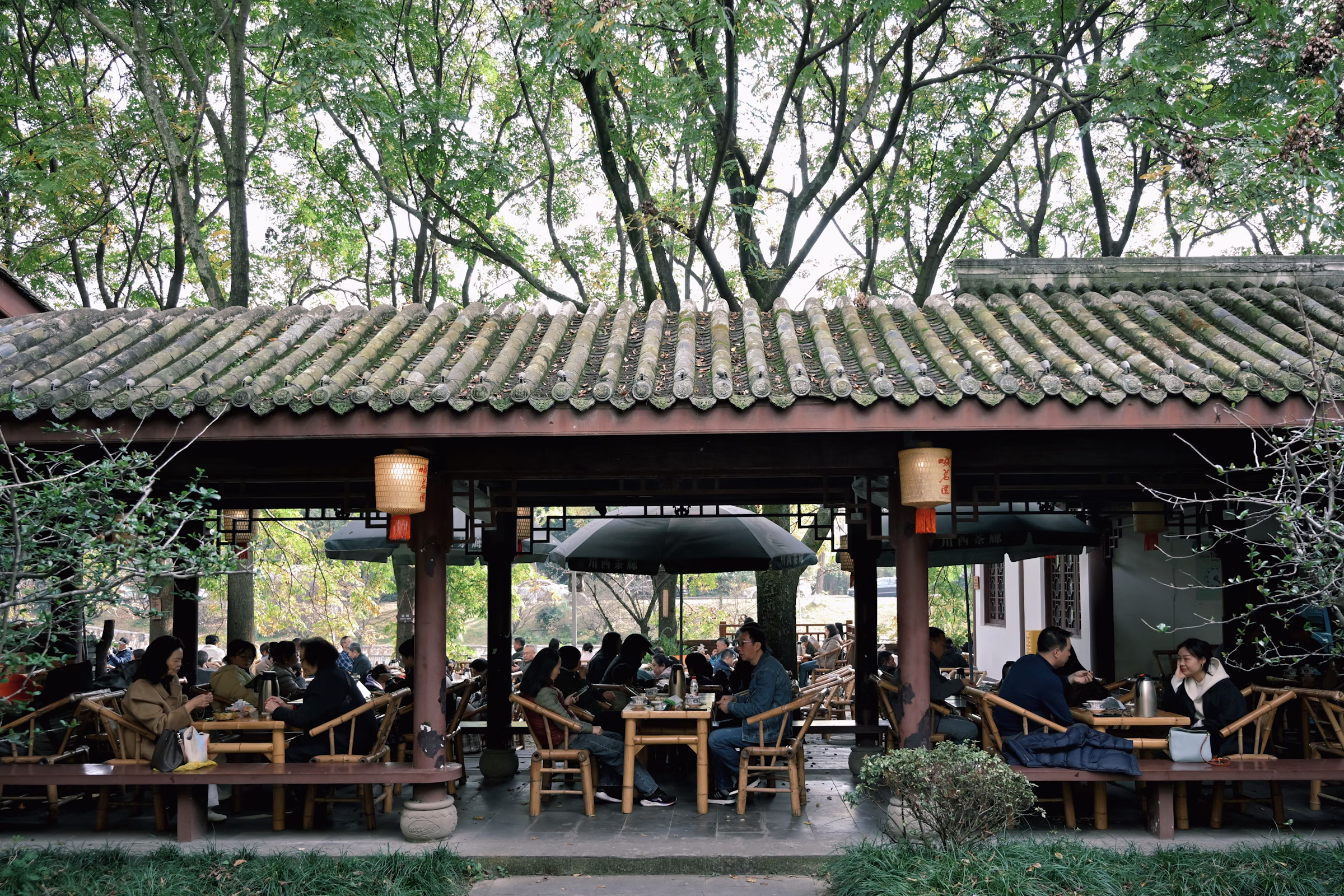 Chengdu Slow Living — Pandas, Tea, and the Art of Taking It Easy private tour experience